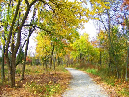 percorso d'autunno