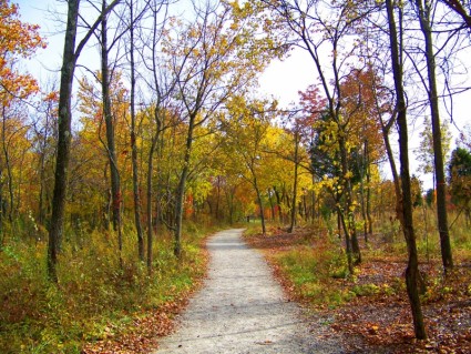 percorso d'autunno