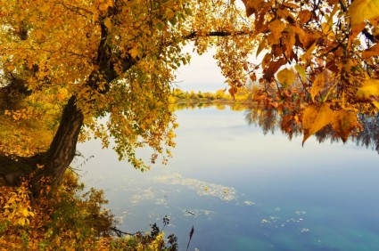 秋天的河岸邊