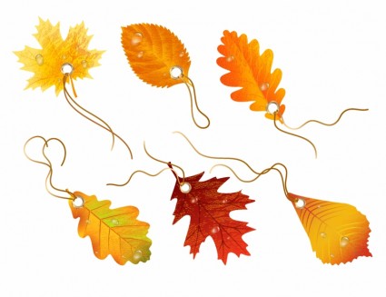 Herbstliche Rabatt Vektor Herbstblätter