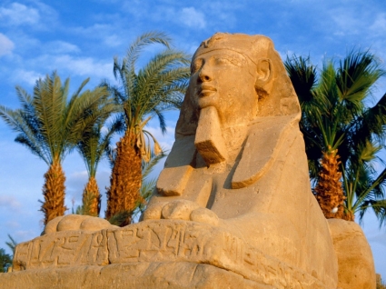 Avenida de mundo de Egipto de fondo de pantalla de esfinges