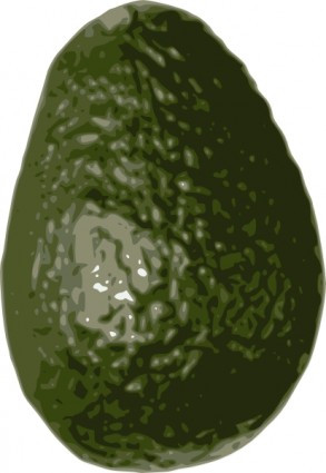авокадо картинки