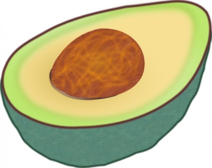 Avocado ClipArt