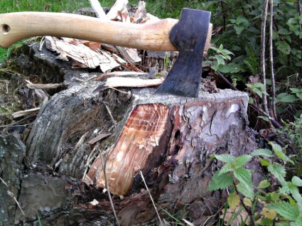 madera de tocón de hacha