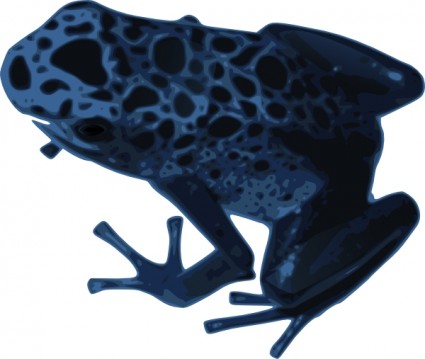 Azureus żaba clipart