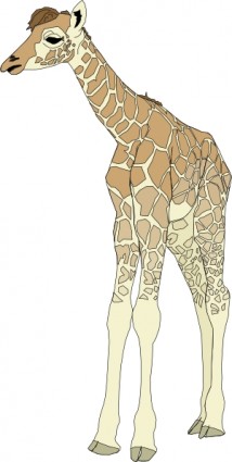 ClipArt di baby giraffa