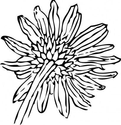 belakang sunflower clip art