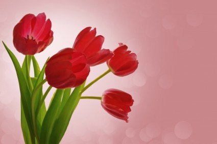 fondo con tulipanes
