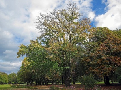 paisagem de Alemanha Bad kissingen