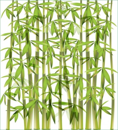 vecteur de fond en bambou