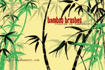 brosses de bambou par hawksmont