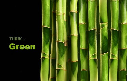 gambar closeup bambu
