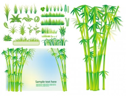 대나무 잔디 식물 벡터