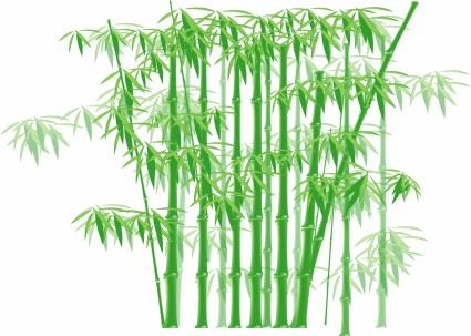 vecteur de bambou