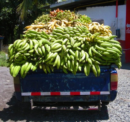 Panamá de caminhão de entrega de banana