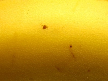 バナナの皮をむく背景品質の画像