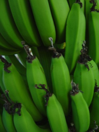 Bananen zu schließen