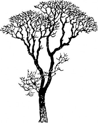 desnudo árbol clip art