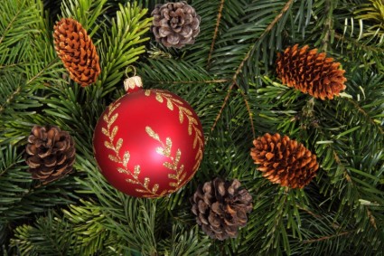 gingillo su sfondo di albero di Natale