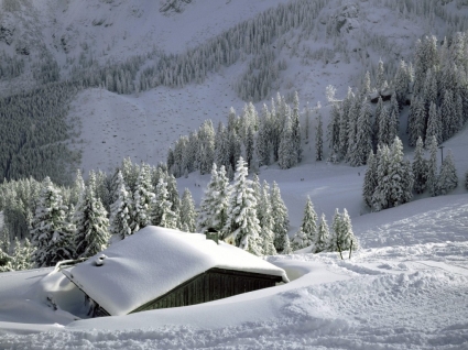 Bavarian alps hình nền mùa đông Thiên nhiên
