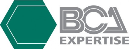 bca 전문 로고