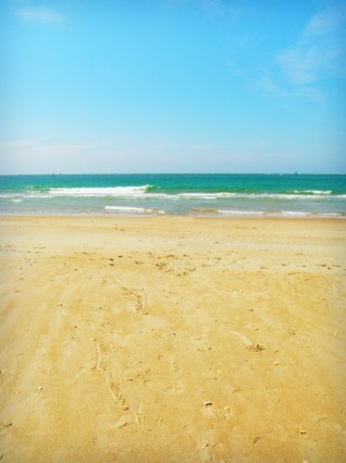 海灘自然海洋