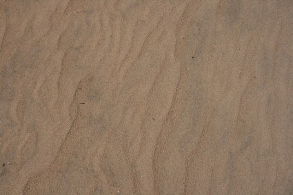 ビーチの砂の背景