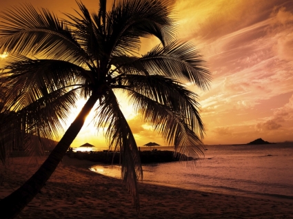 nature de plages pour le fond d'écran coucher de soleil plage