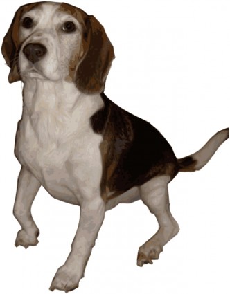 Versi menengah Beagle