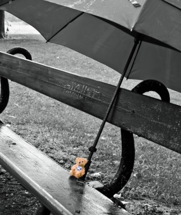 베어와 우산