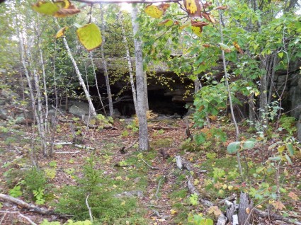 Jaskinia niedźwiedzia