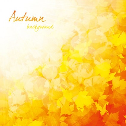 belle automne background vector