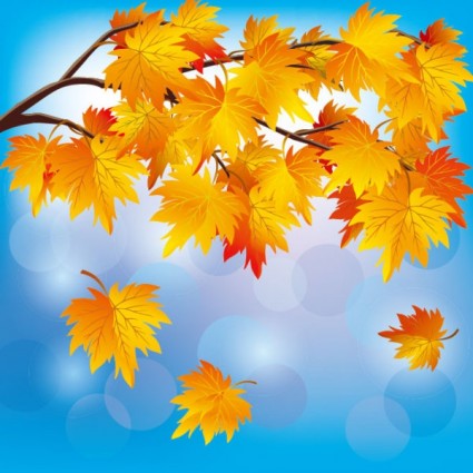 Beautiful Autumn Leaf Background Vector