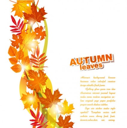 красивые осенние листья фон вектор