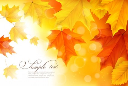 Beautiful Autumn Leaves Card Vector