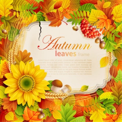 أوراق الخريف الجميلة متجه خلفية الإطار