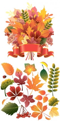 indah musim gugur daun vektor