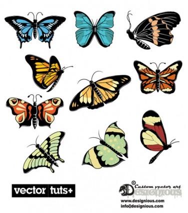 красивые бабочки вектор
