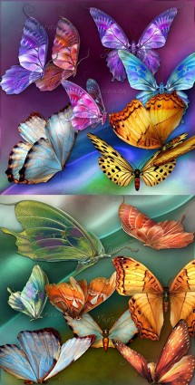 beau papillon psd