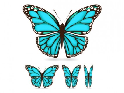 vector de la hermosa mariposa