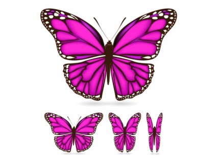 美しい蝶ベクトル