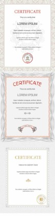 Beautiful Certificate Template Vector