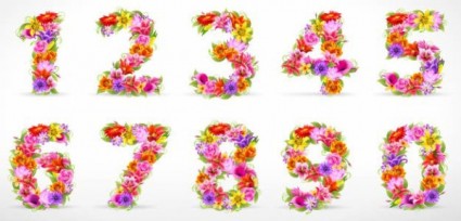 美しい花と数字のベクトル