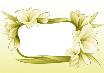Beautiful Flowers And Lace Vector