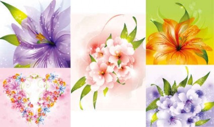 collections de belles fleurs