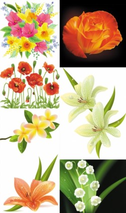 schöne Blumen-Blumen-Vektor