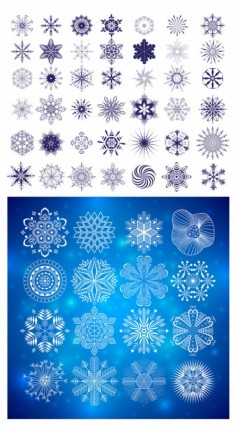 Beautiful Graphic Pattern Vector