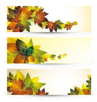 아름 다운 잎 카드 벡터