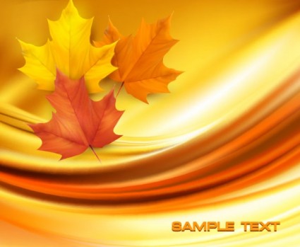 beautiful Maple Leaf Hintergrund Vektor