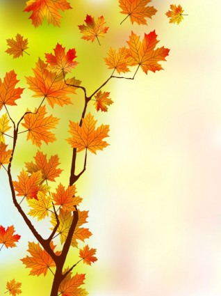 maple yang indah daun latar belakang vektor